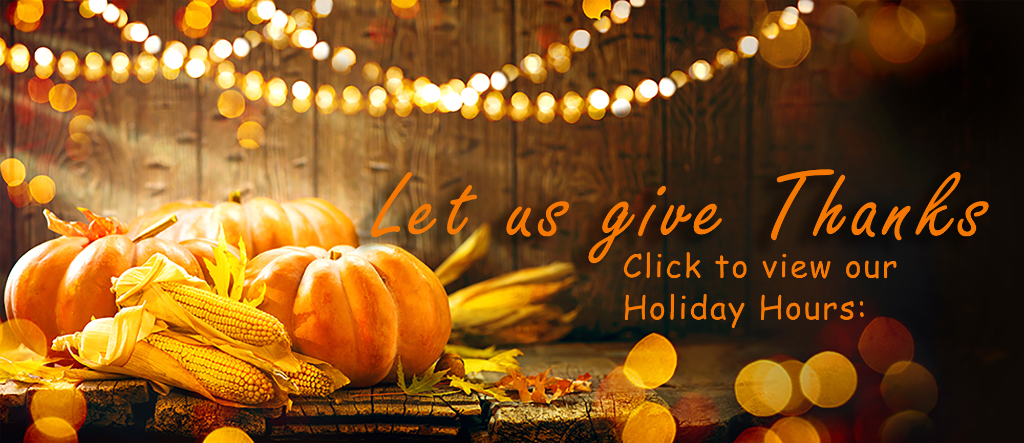 Thanksgiving Sale