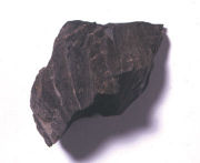 Shale Rock