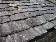 Slate Roof