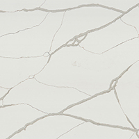 Calacatta Belleza